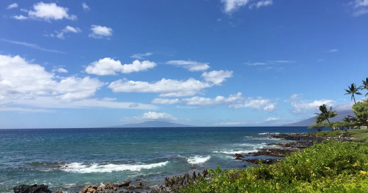 青空と海